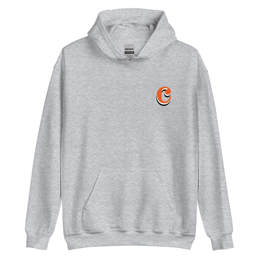 Gray Hoodie (Double-Sided Design)
